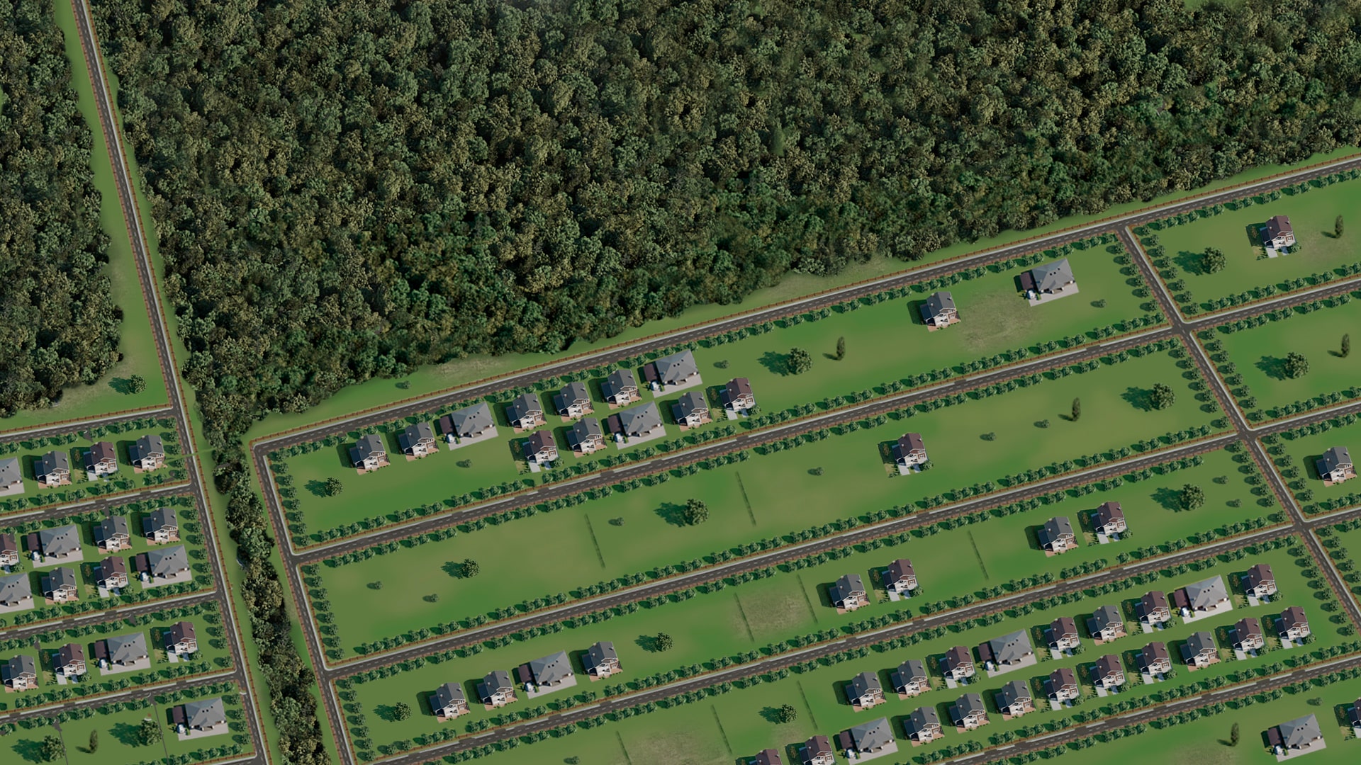Zoomed Area